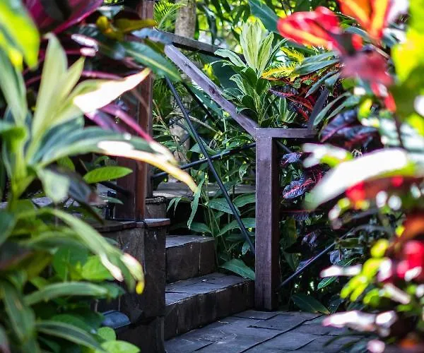ベッド・アンド・ブレックファスト Leon Ubud Bali, Boutique Bungalows ウブド